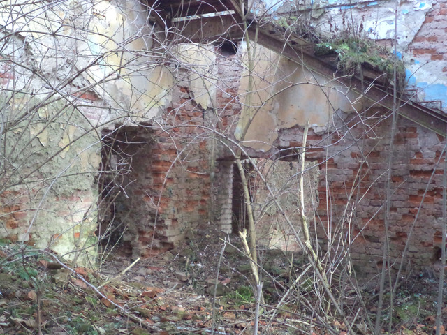 Під Львовом продають унікальний замок XVIII століття за 1 гривню (фото)