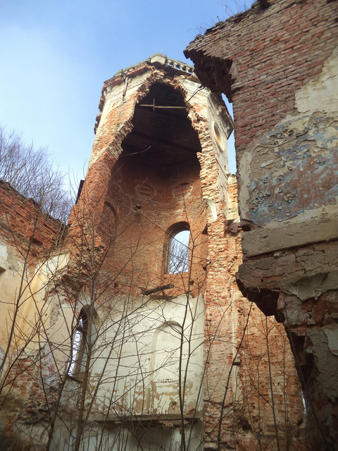 Під Львовом продають унікальний замок XVIII століття за 1 гривню (фото)