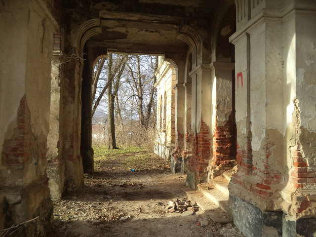 Під Львовом продають унікальний замок XVIII століття за 1 гривню (фото)