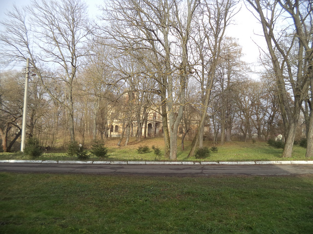 Під Львовом продають унікальний замок XVIII століття за 1 гривню (фото)