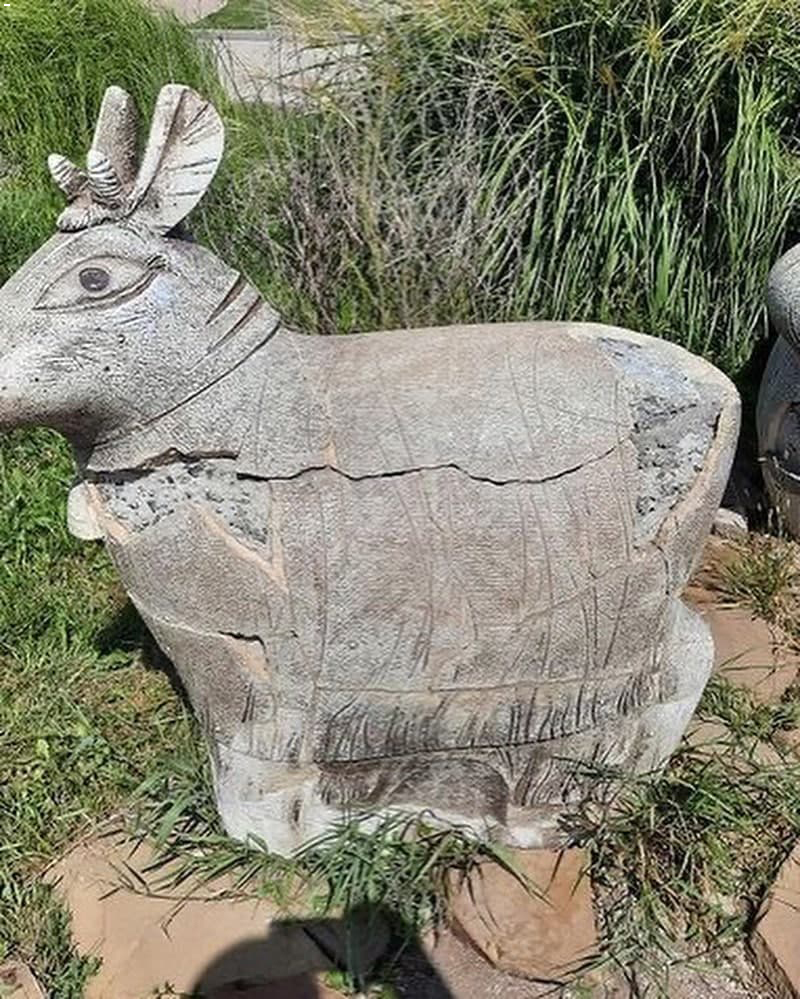 Появились свежие фото "Донбасс-Арены", куда боятся заходить люди: печальные кадры