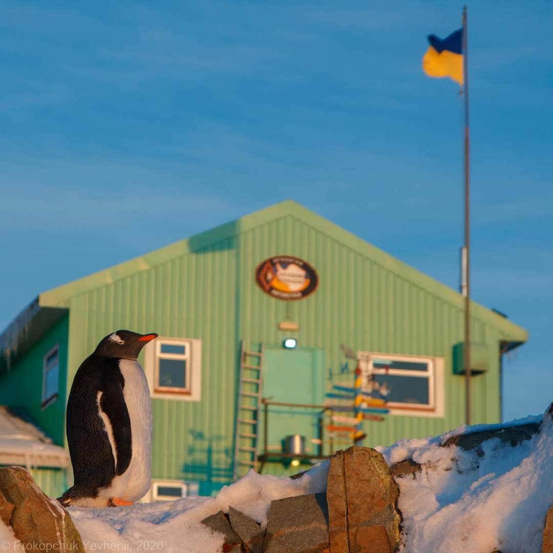 Полярник Богдан Гаврилюк: Холод - єдине, до чого не може звикнути людина