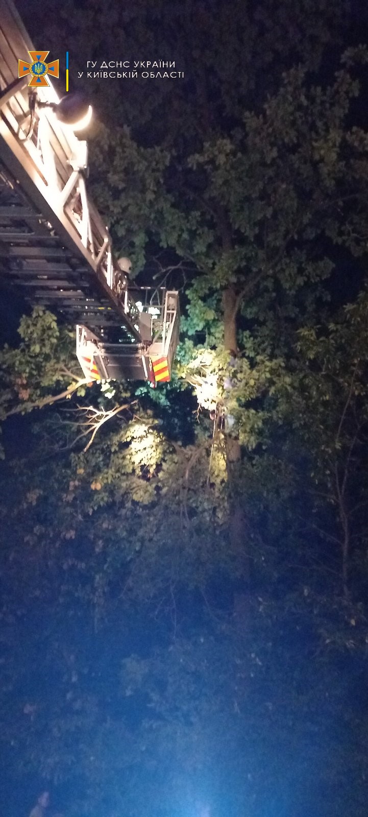 Під Києвом рятувальники рятували жінку, яка хотіла врятувати котика (фото)