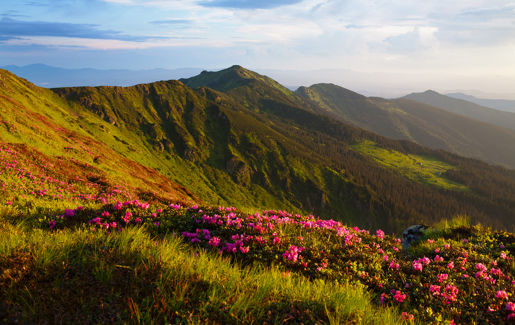 Врожай за будь-яку ціну. Як в Україні знищують ґрунти і довкілля – інтерв'ю з екологом