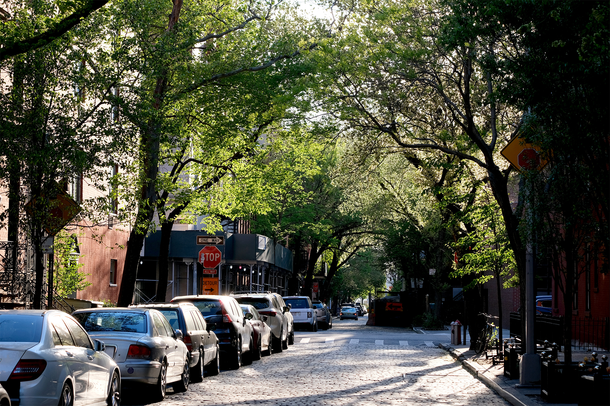 Жуки, сок деревьев и не только: как уберечь авто от негативного влияния весенних факторов