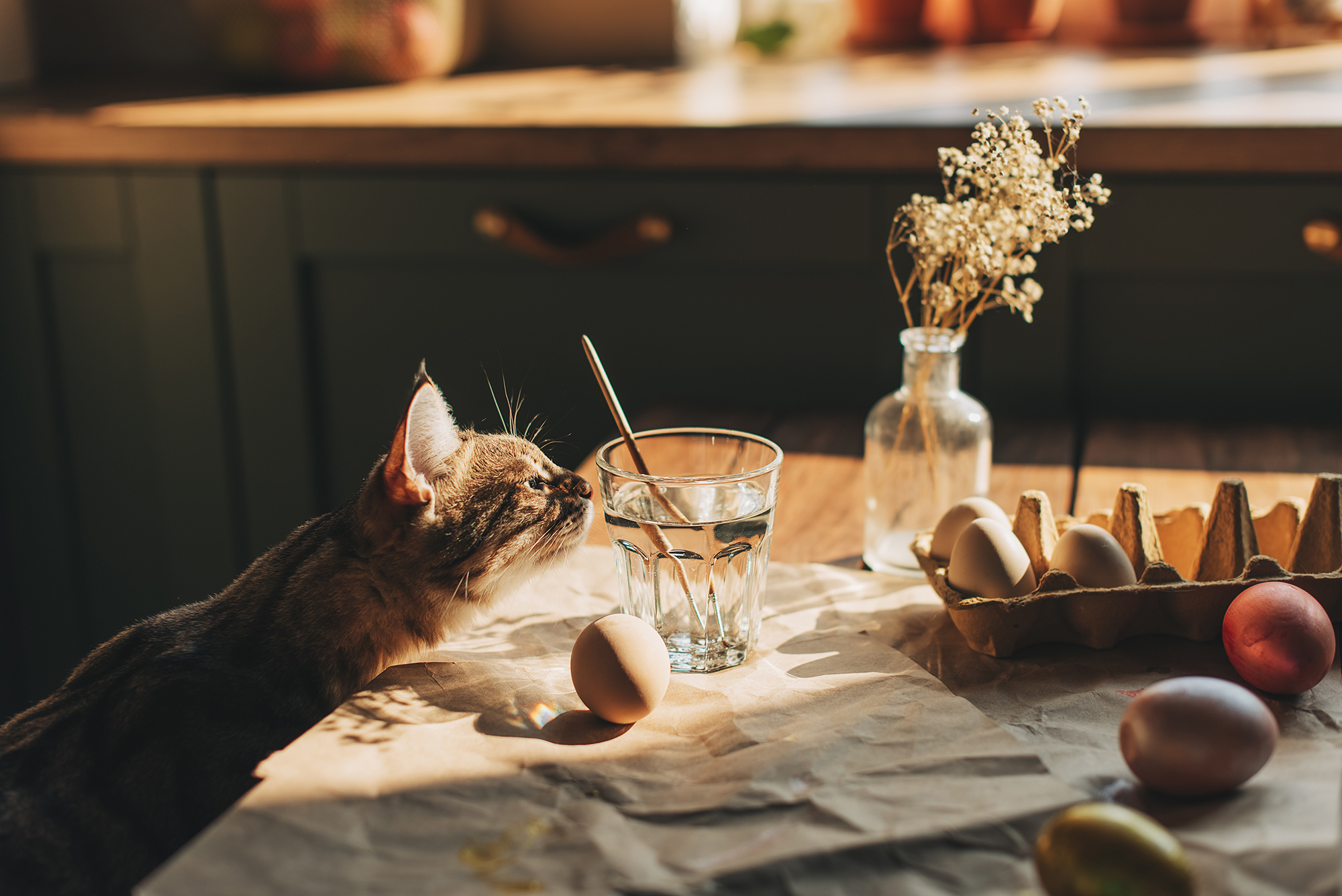 Чому Великдень святкують саме 5 травня: пояснення