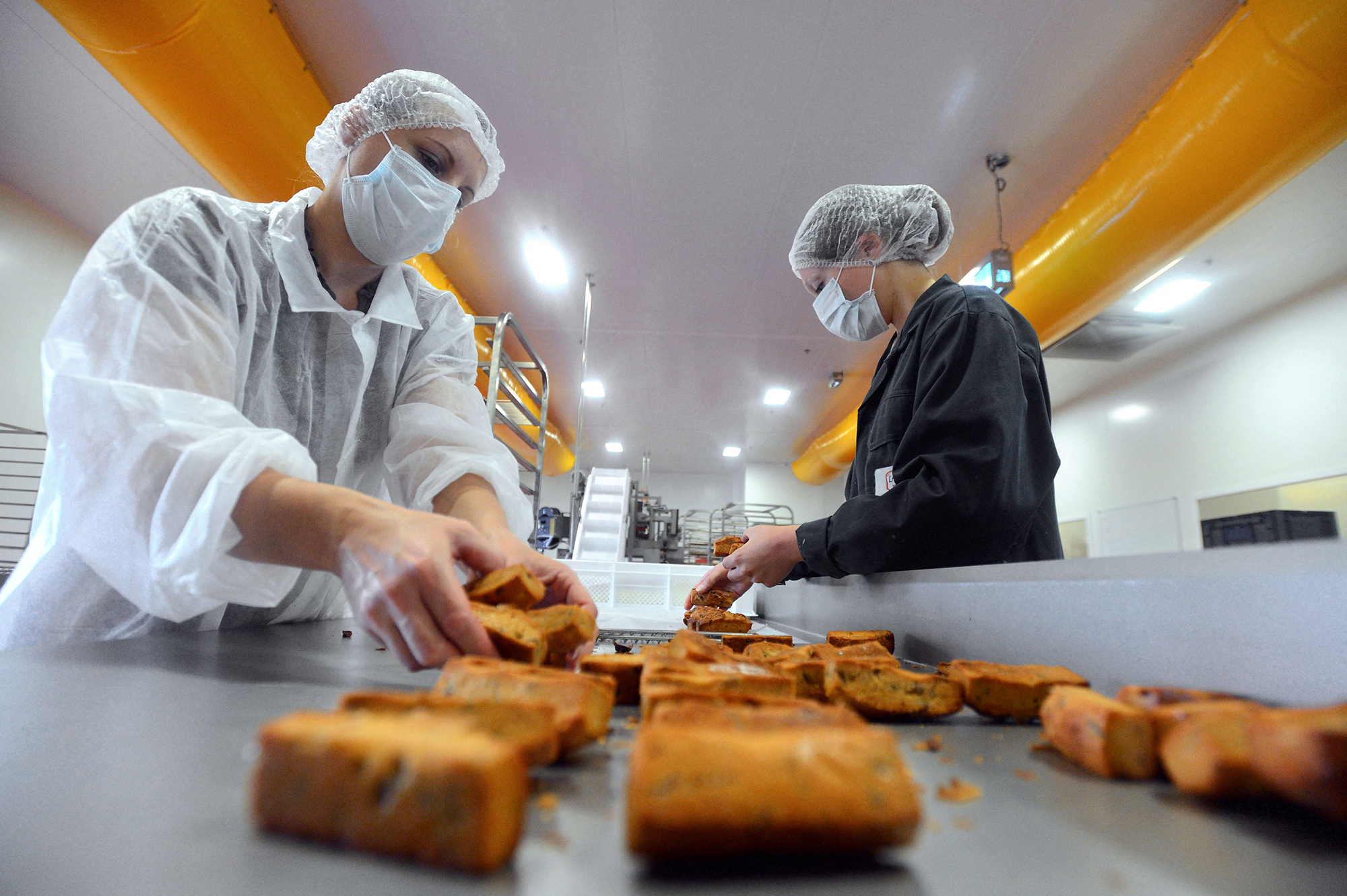 Работа в Литве: какие вакансии и зарплату предлагают украинцам без знания языка