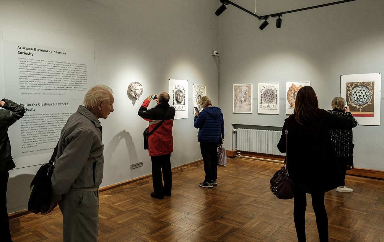 Від емоцій до дивідендів: як перетворити любов до мистецтва на актив