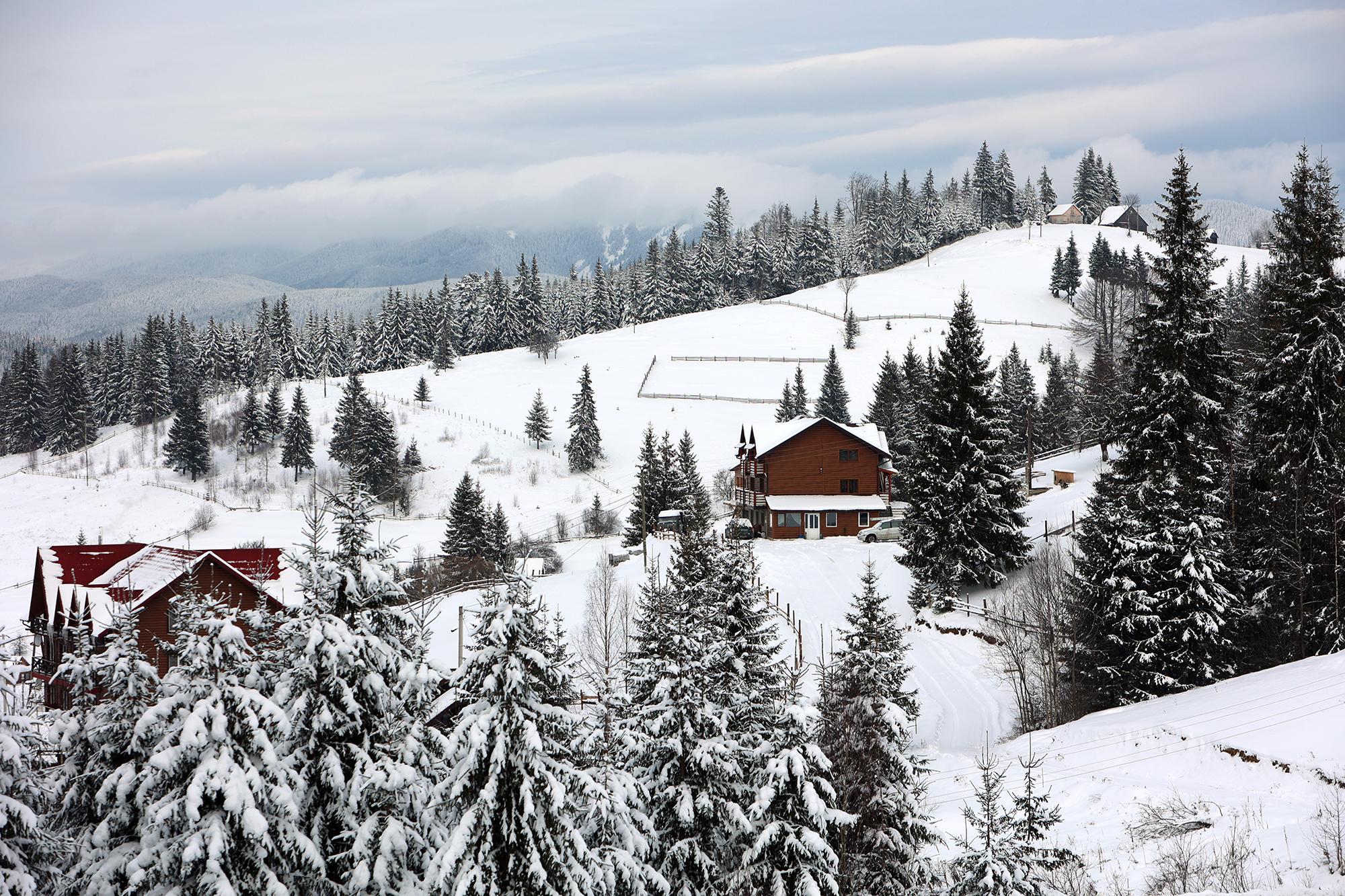 Подешевел ли отдых в Карпатах после каникул: сколько стоит жилье