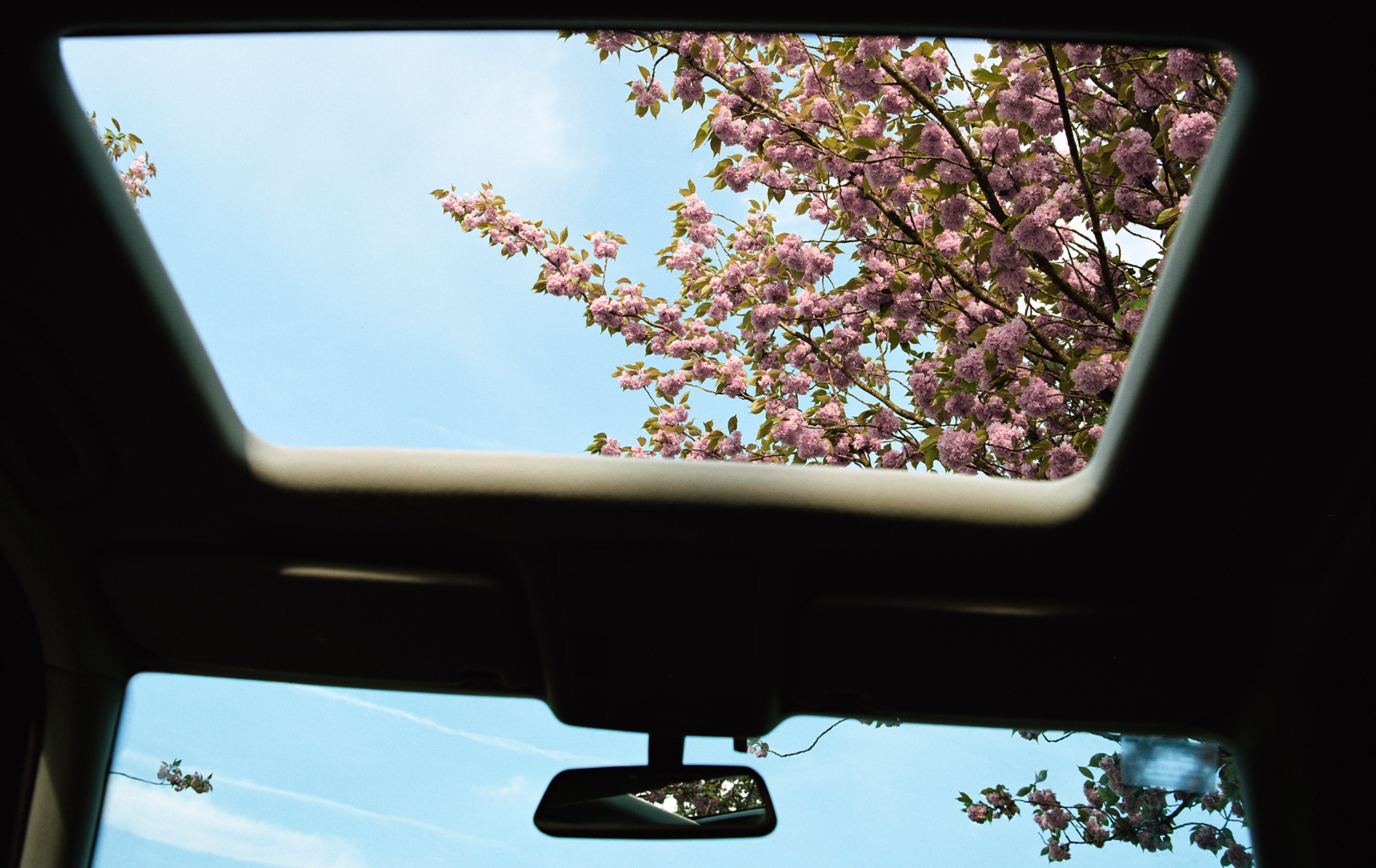 Течет, потеет и гниет: какие неприятные сюрпризы готовит панорамная крыша и люк в авто