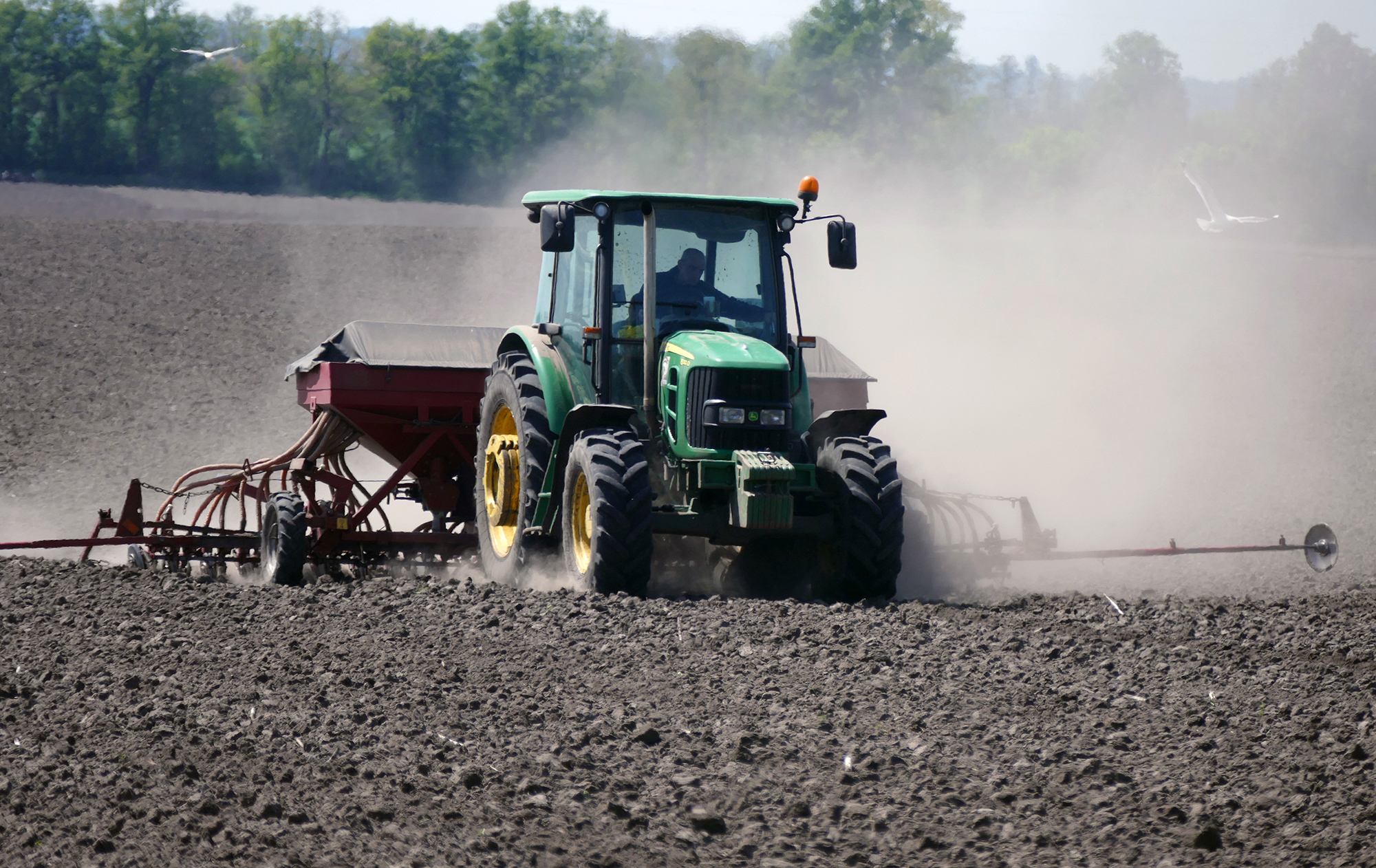 Академик НААН: Из-за теплых зим в Украине появится экзотическая альтернатива картофелю