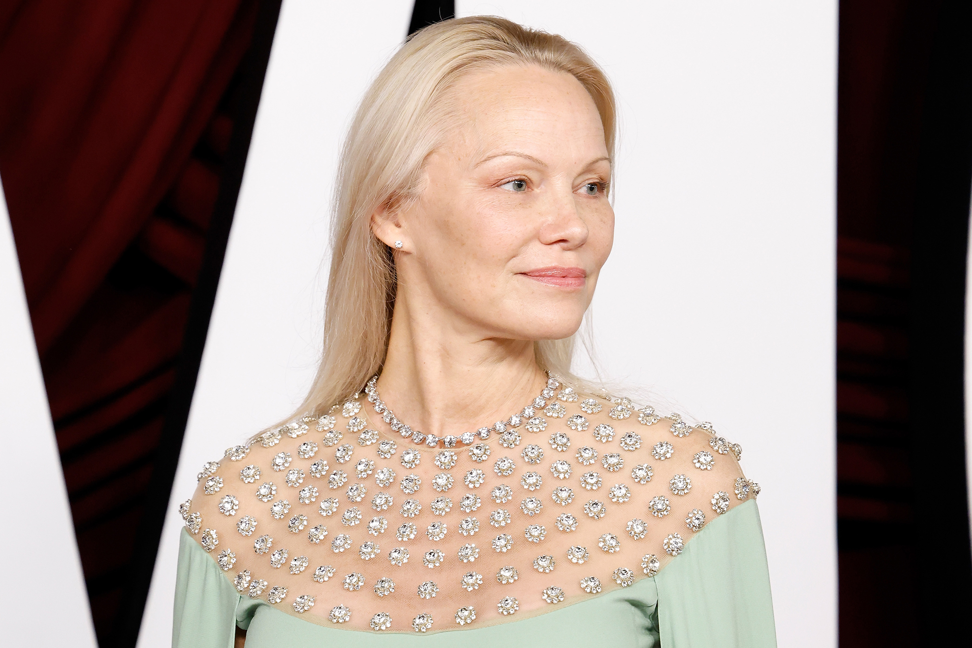 Більше не блондинка: Памела Андерсон вразила новим кольором волосся (фото)