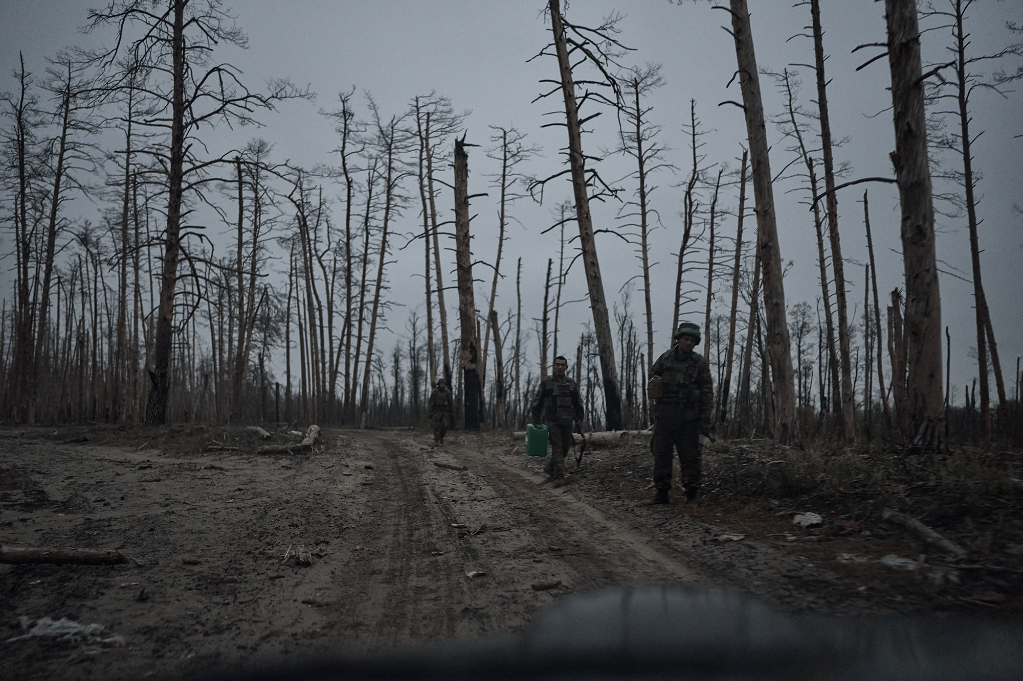 Академик НАН: На месте Каховского водохранилища за 20 лет вырастет уникальный лес
