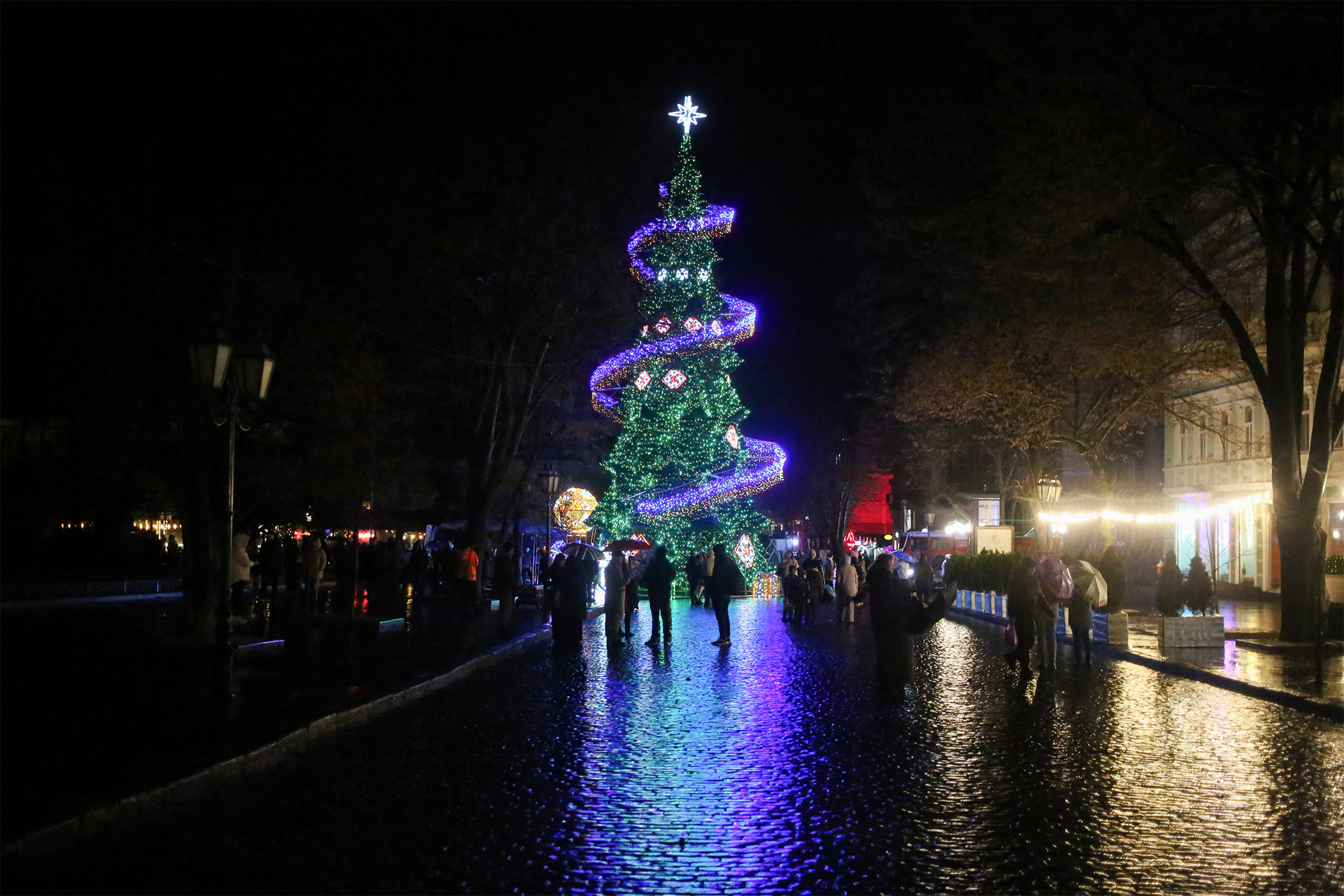 Новый год 2025. Как выглядят главные елки в разных городах Украины (фото)