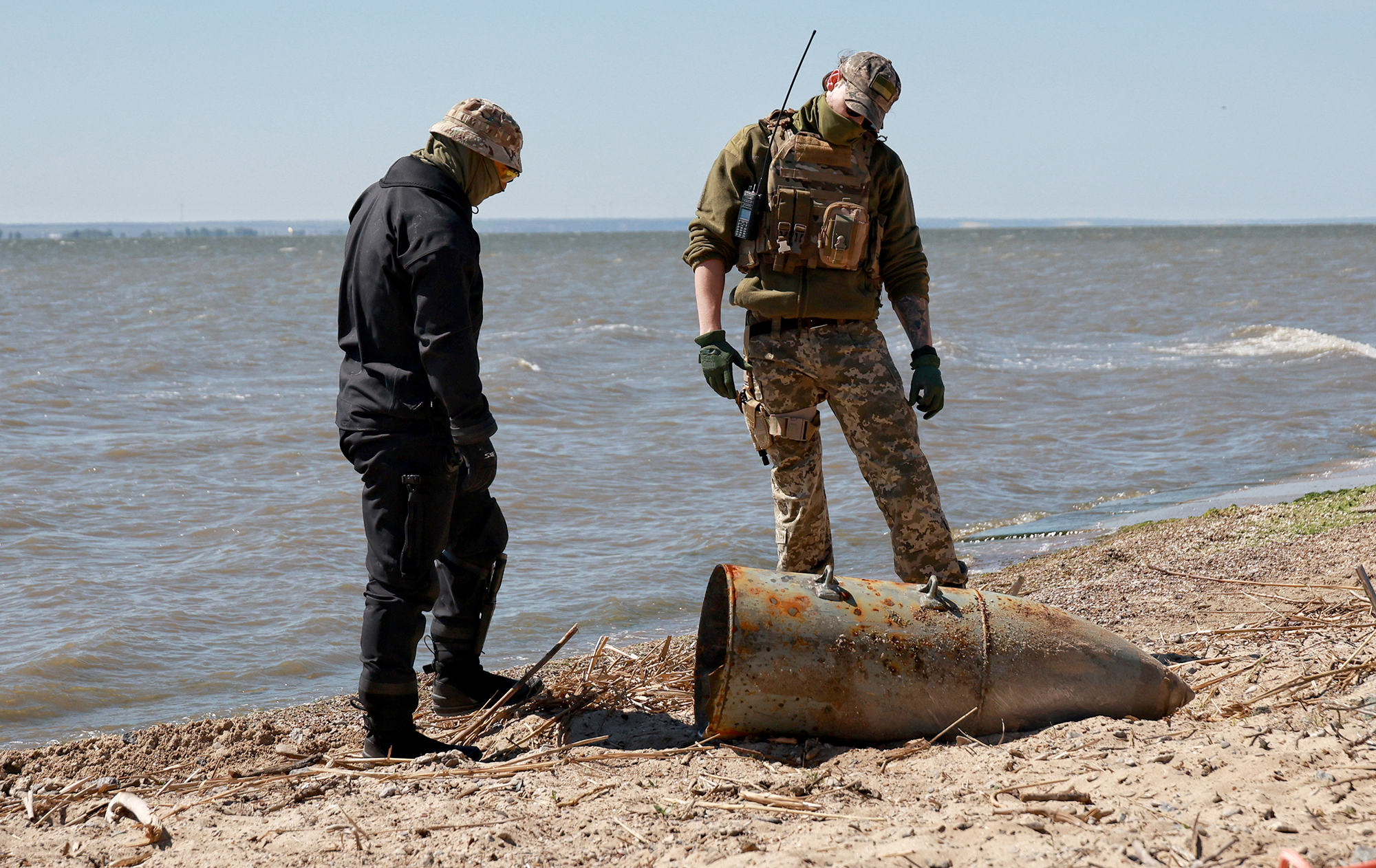 Креветки, мідії, рапани: хто не переживе війну у Чорному морі, – інтерв’ю з біологом НАН