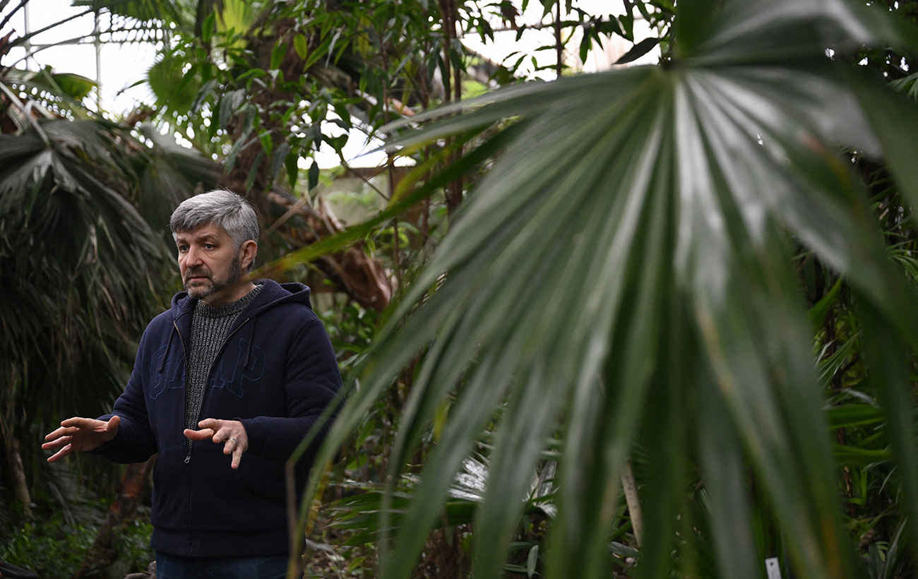 Будет ли цвести сирень и азалии? В Ботсаду Гришко рассказали о последствиях критической зимы