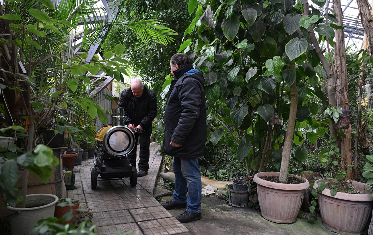 Будет ли цвести сирень и азалии? В Ботсаду Гришко рассказали о последствиях критической зимы