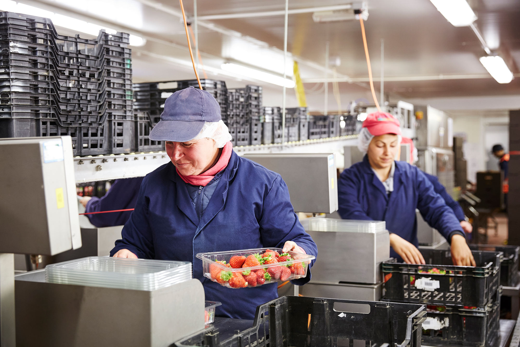 Украинцы работают уже в половине польских фирм: сколько им платят