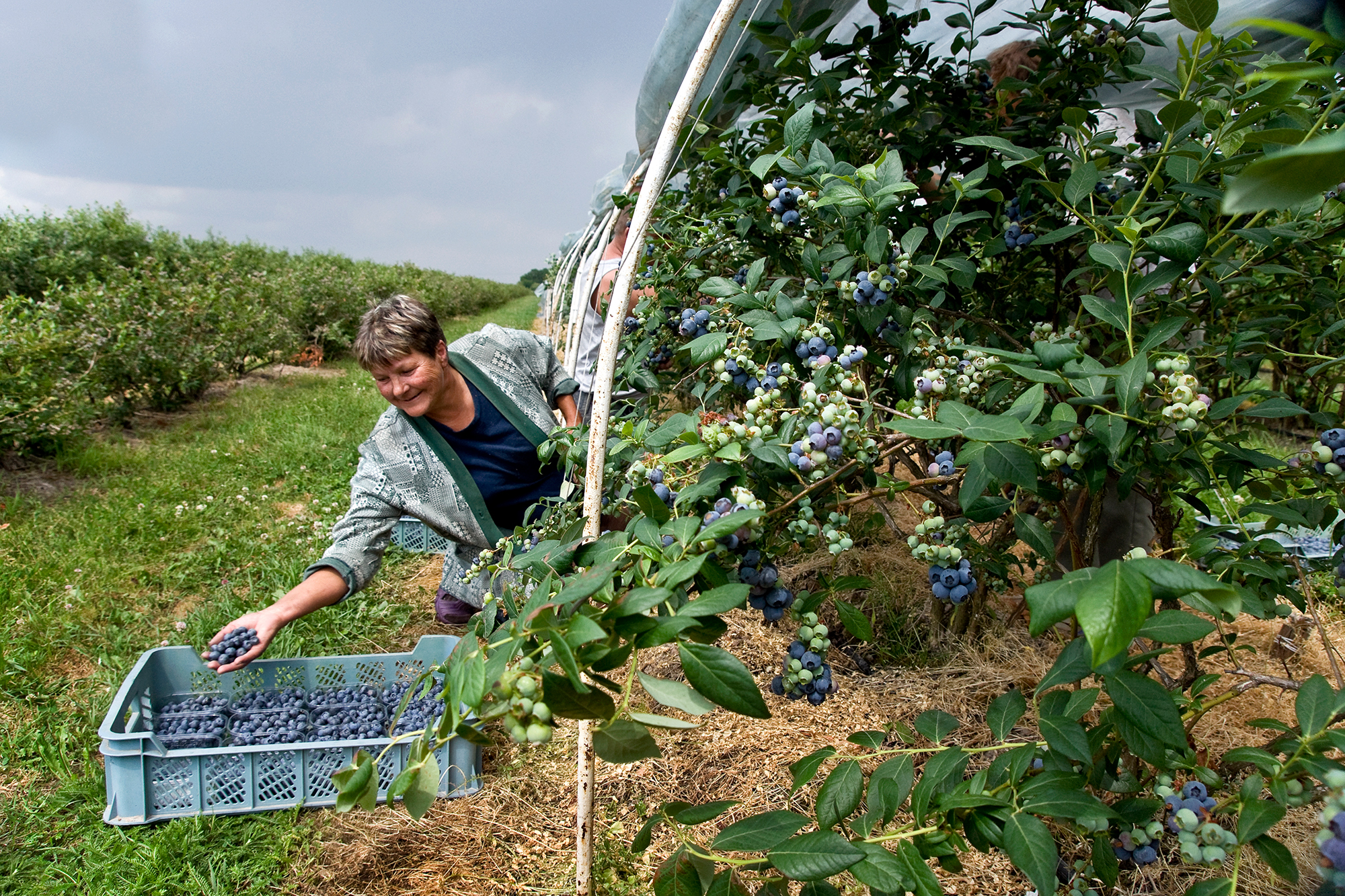 Знання мови і зарплати. Де та як українці шукають роботу за кордоном