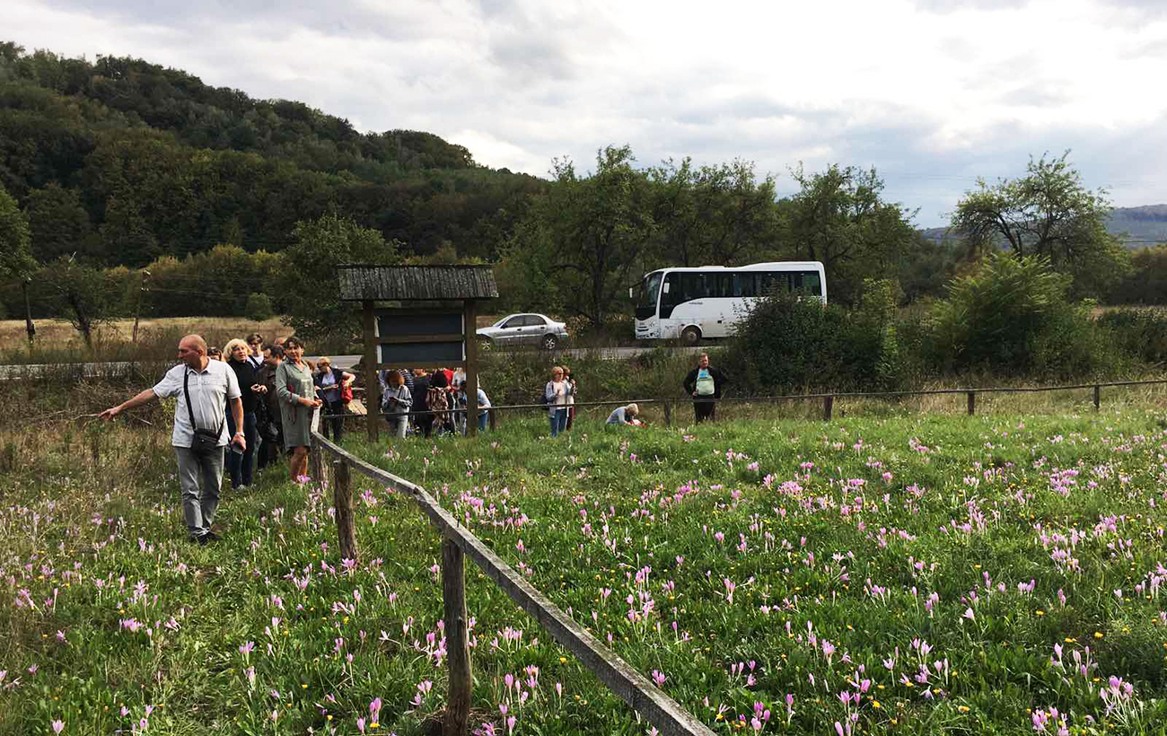 В отпуск после победы. Как турбизнес выживает во время войны