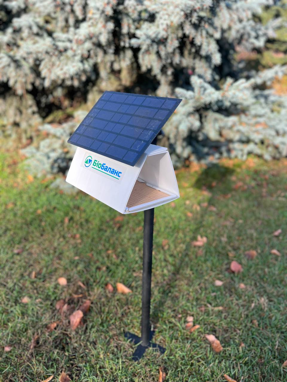 Лайфхаки предпринимательниц: 5 советов от украинок, построивших успешный бизнес с нуля