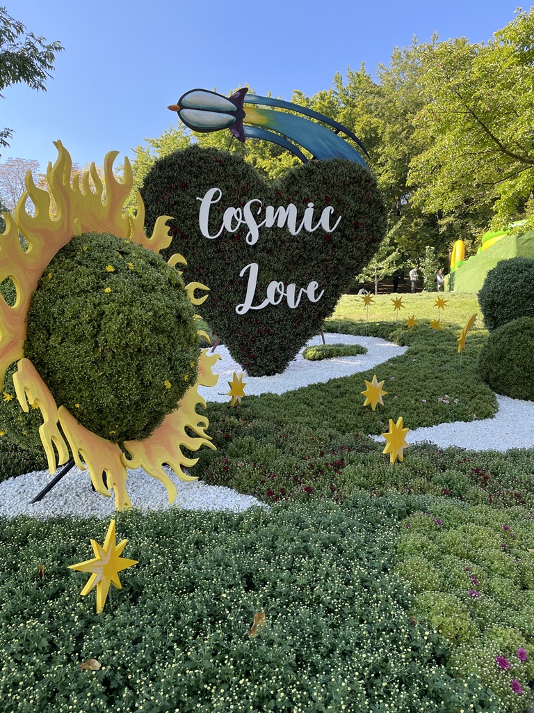 Співоче поле у Києві уквітчається хризантемами: як буде виглядати ця краса