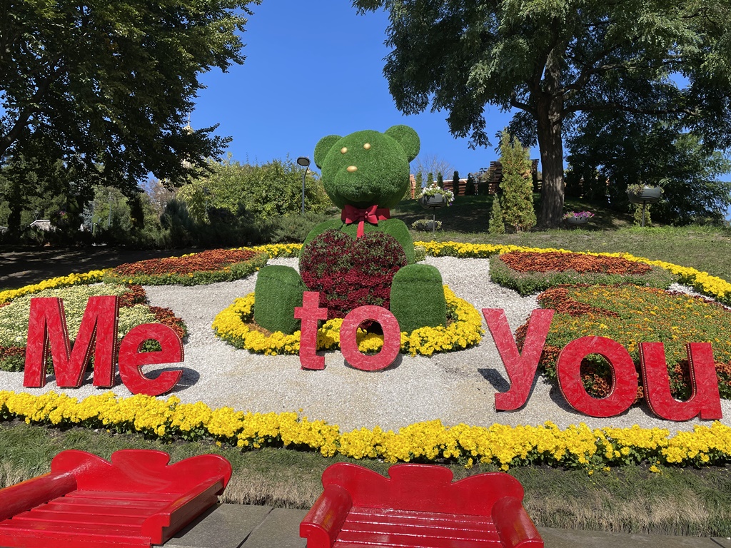 Співоче поле у Києві уквітчається хризантемами: як буде виглядати ця краса