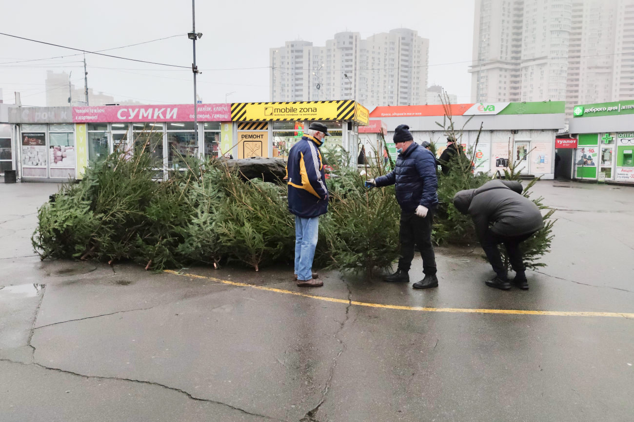 Как убрать елку так, чтобы не засыпать все иголками: полезный лайфхак