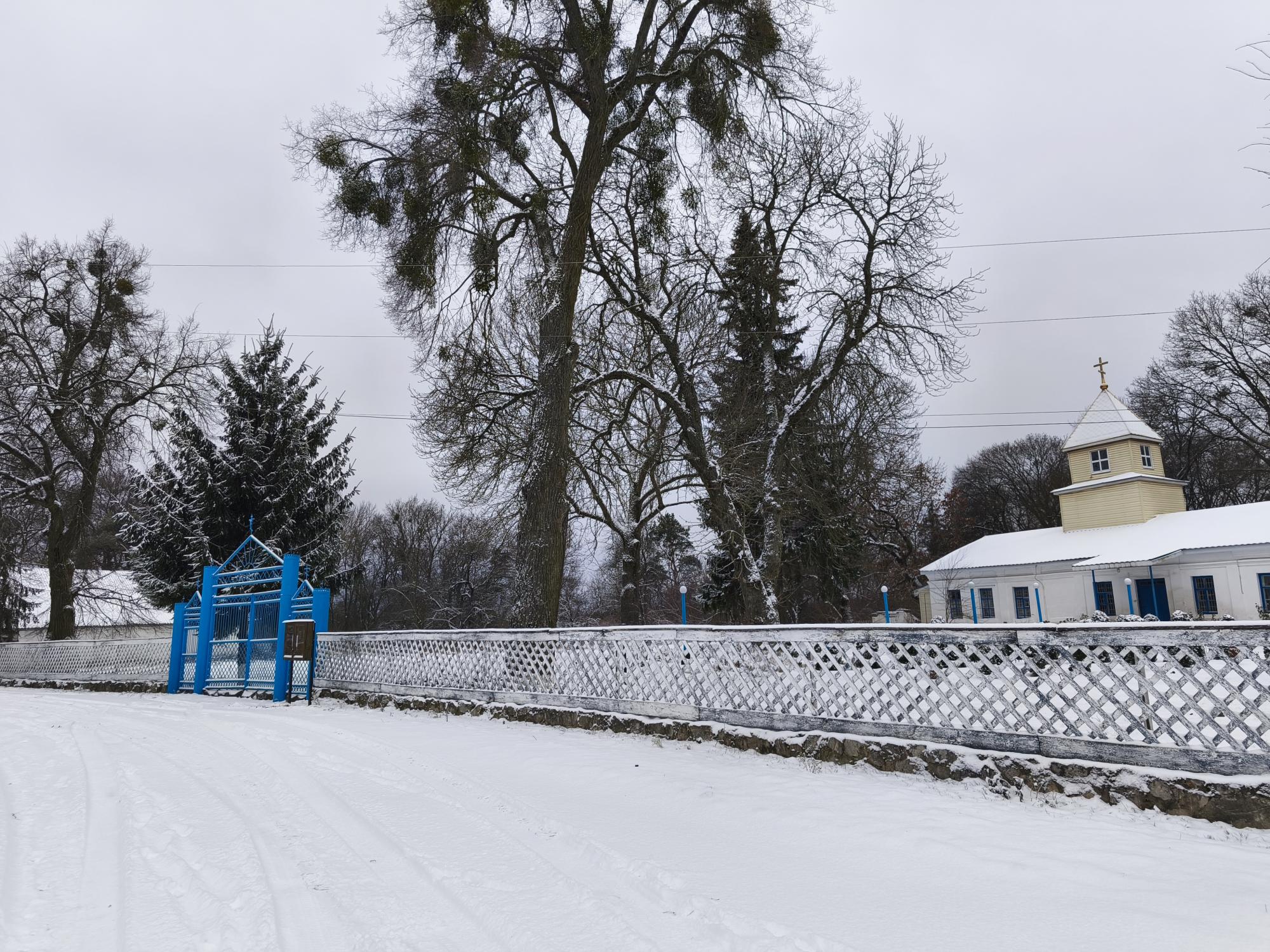Снегопад накрыл значительную часть Украины: фото и видео из разных регионов