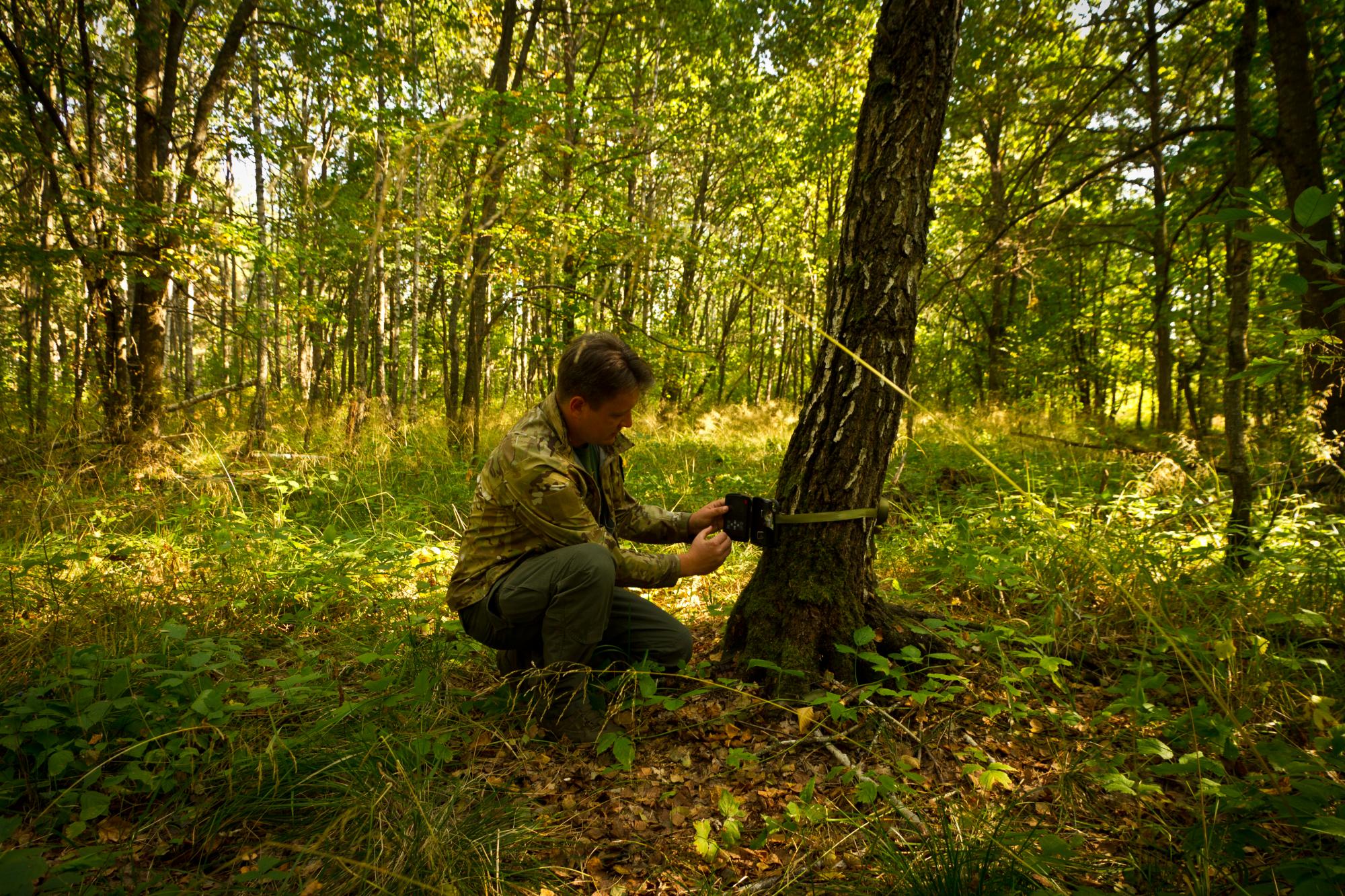 Водятся ли мутанты в Чернобыле и кто живет в рыжем лесу: блиц о животных зоны отчуждения