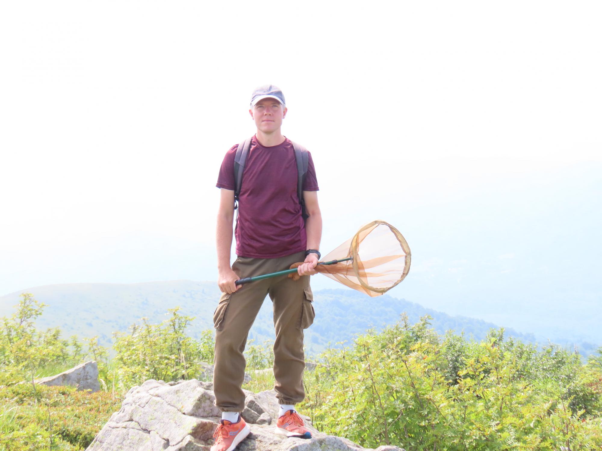 Як морози рятують комах від загибелі: неочевидні факти про "шкідників" та запилювачів