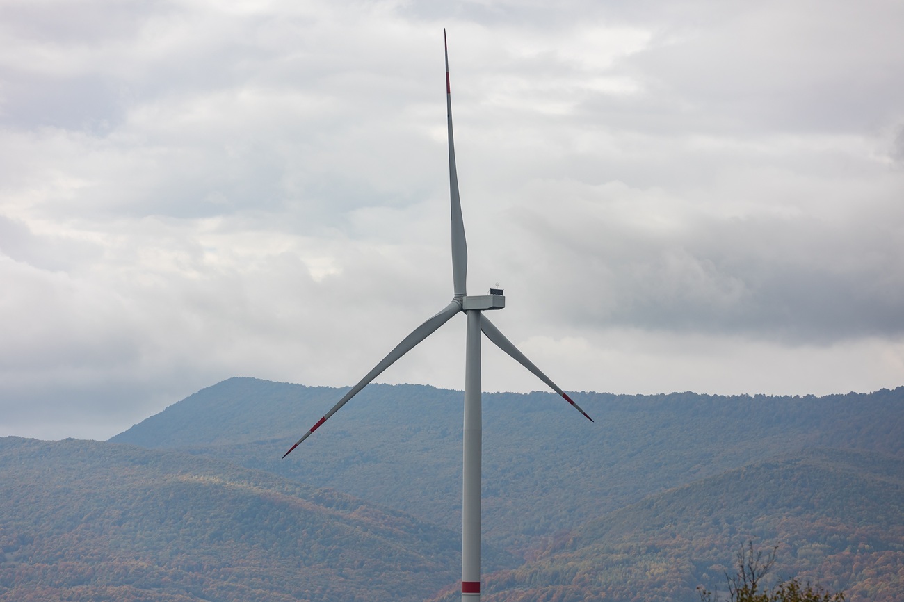 Перша ВЕС Закарпаття: як інвестиційний проєкт зміцнює енергетику та економіку регіону