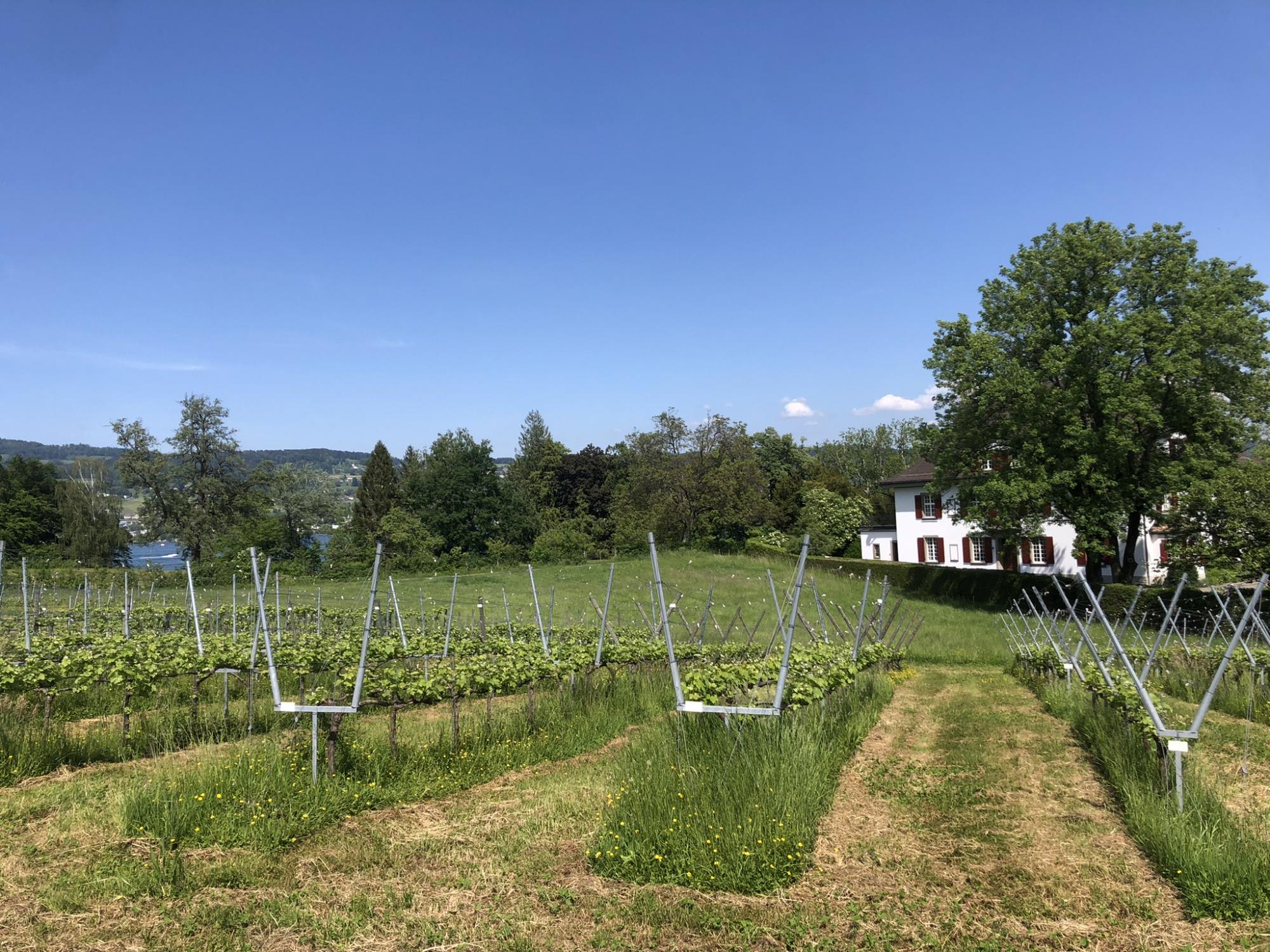 Завищені очікування. Як біженці шукають роботу в Європі та скільки можна заробити