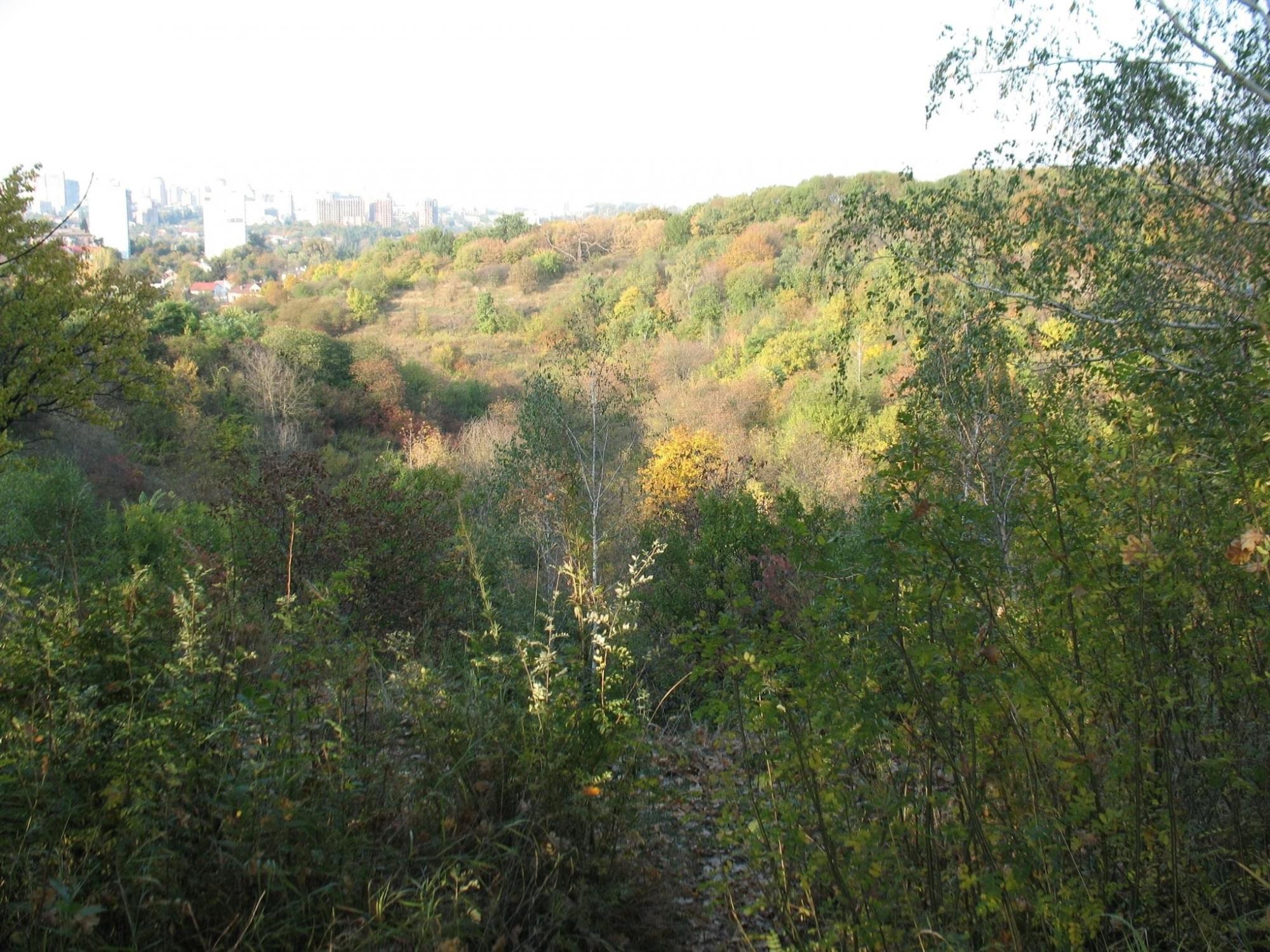 Стало известно, в каких районах Киева построят Национальное военное кладбище