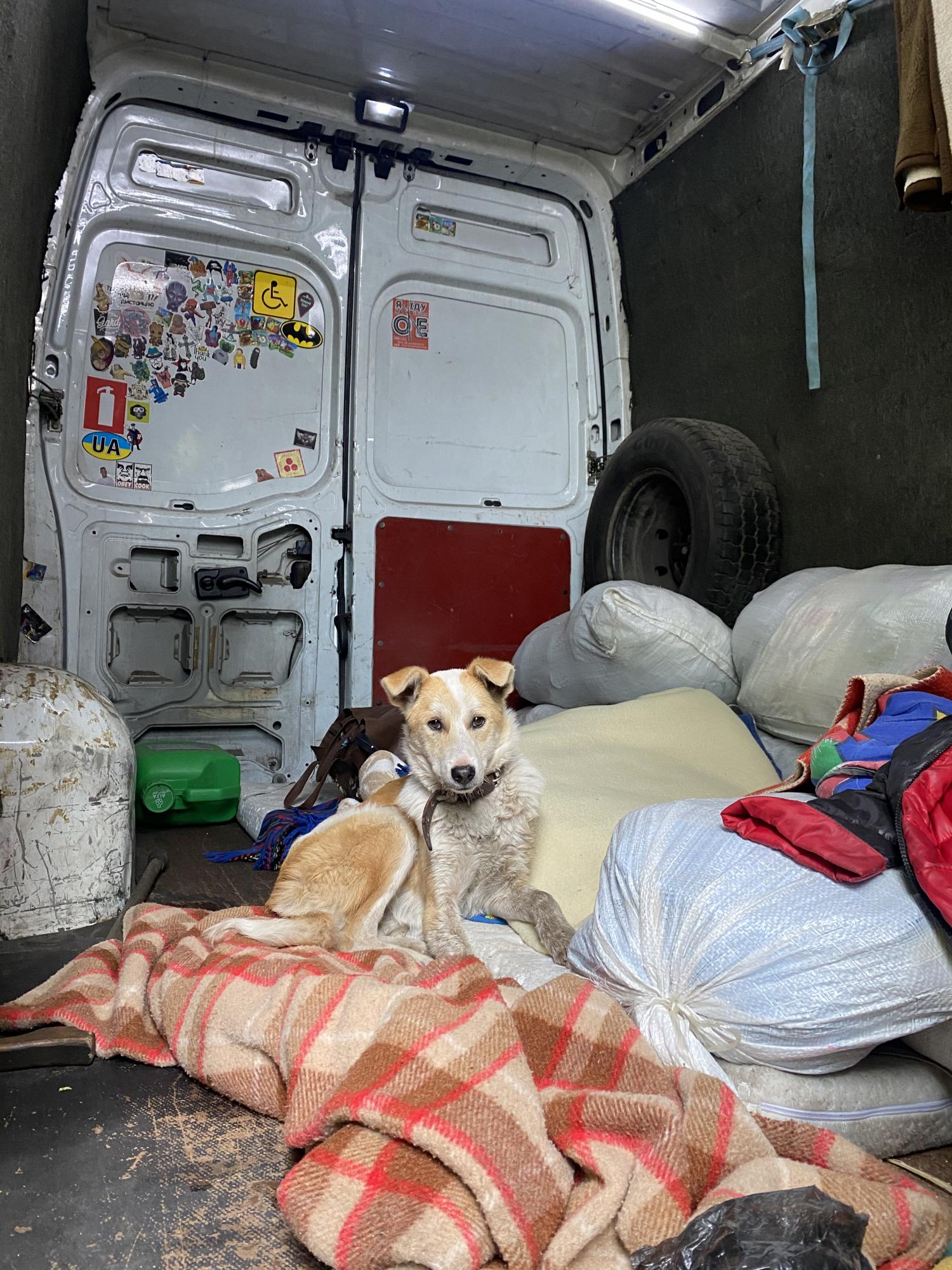 "Своим примером хочу показать, как можно помогать": как украинский музыкант эвакуирует людей с линии фронта (фото)