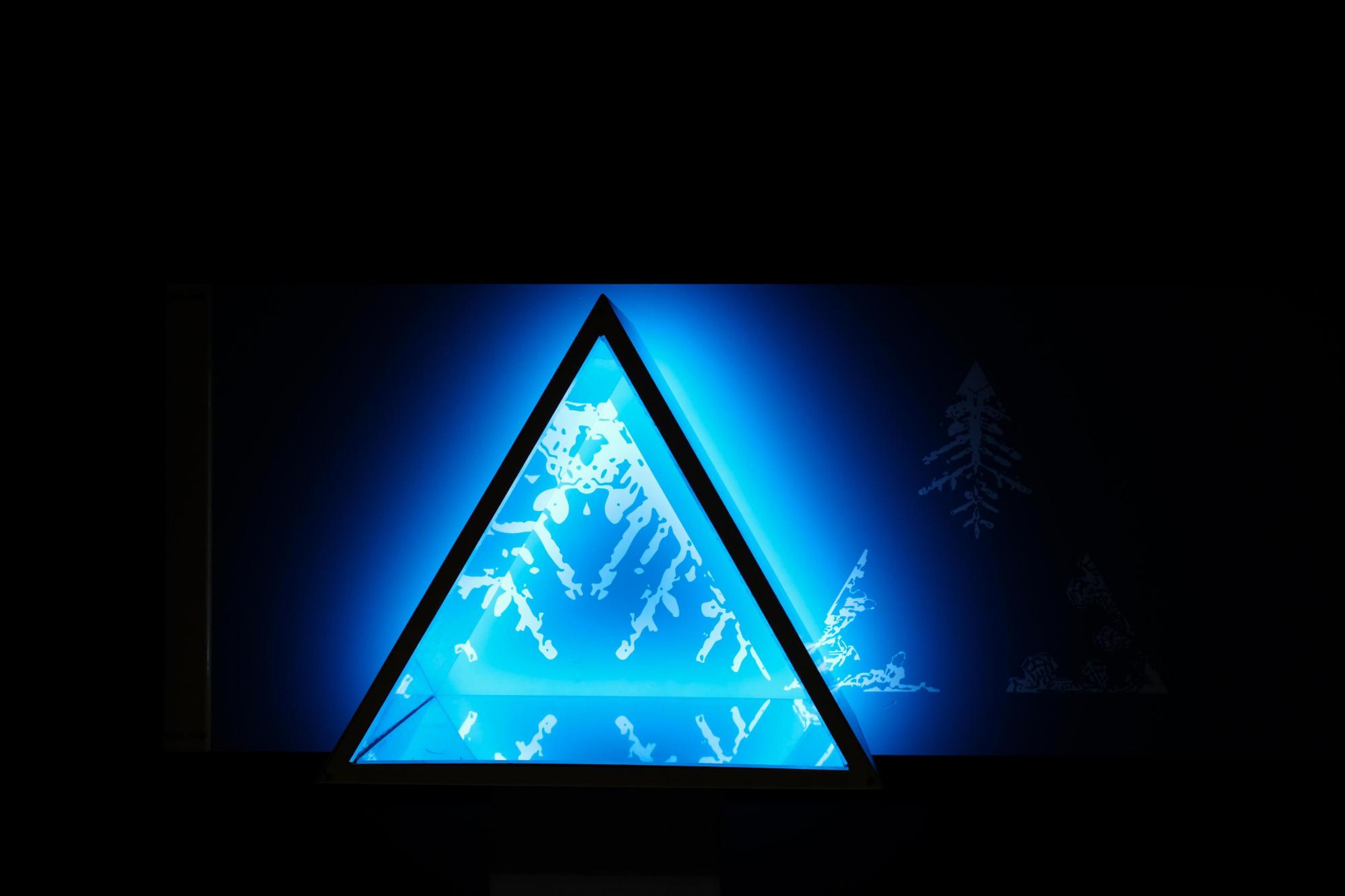 &quot;Нельзя не касаться&quot;: как выглядит Музей науки в Черновцах (фото)