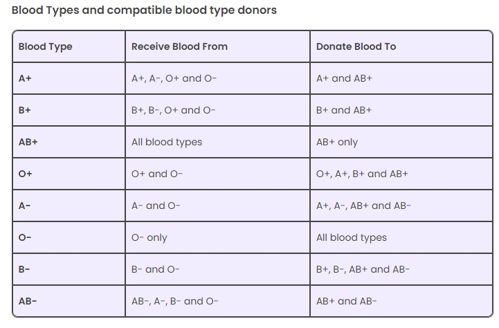 Що варто знати кожній людині про групи крові: цікаві наукові факти