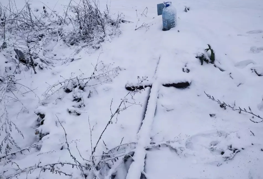 Однакові хрести з номерами в полі кукурудзи: як в Україні ховають бездомних