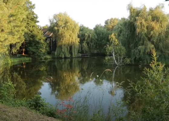 Собственное озеро и фонтан из Италии: Зибров показал свой роскошное загородное имение