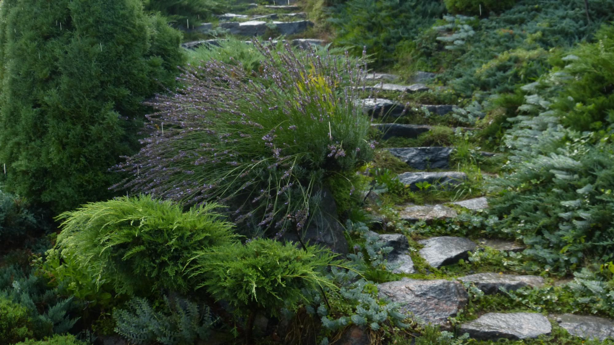 Красота из руин. Как Сергей Горбань превратил свалку в сад прямо в центре города