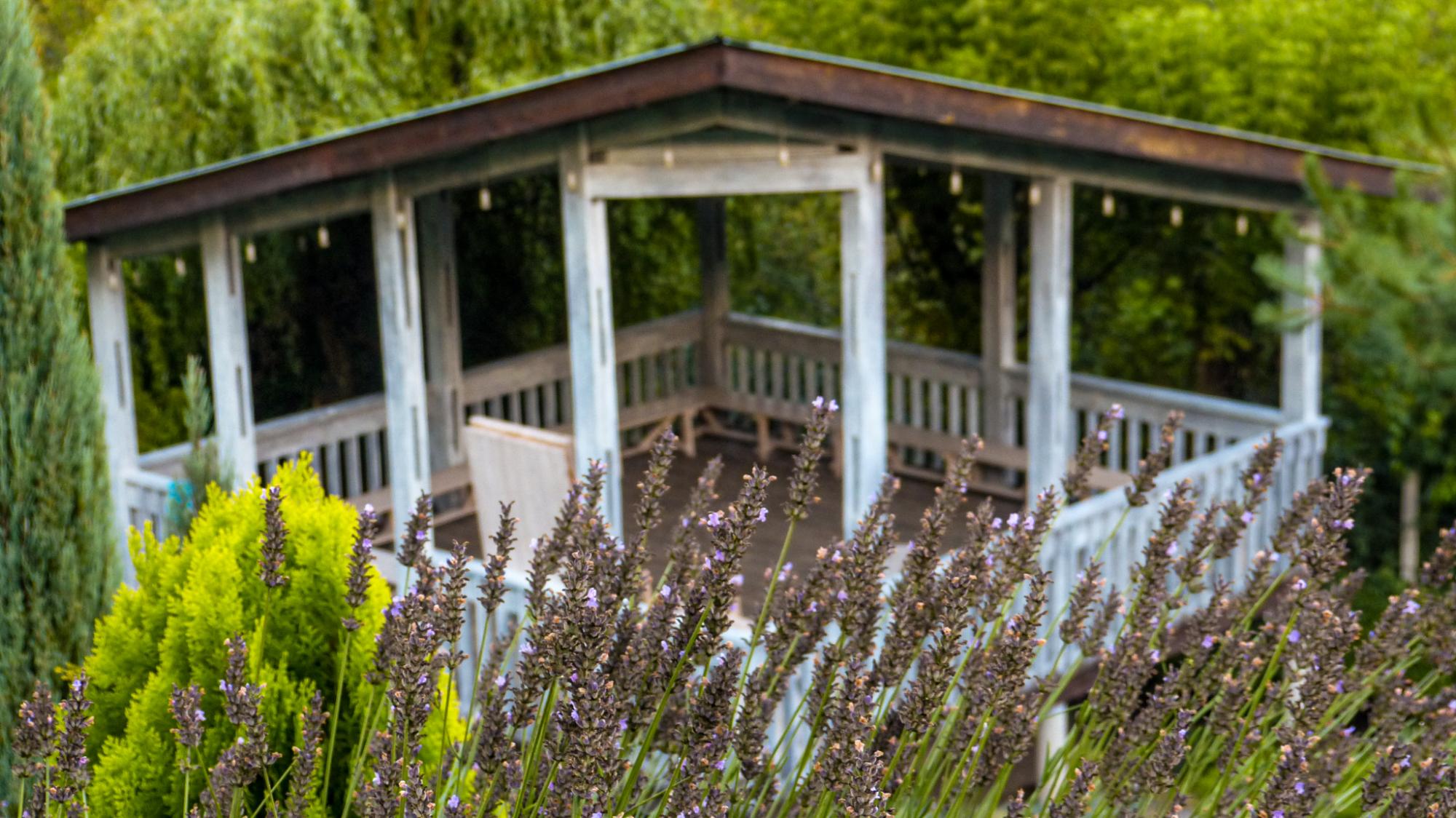 Краса з руїн. Як Сергій Горбань перетворив сміттєзвалище на сад прямо у центрі міста