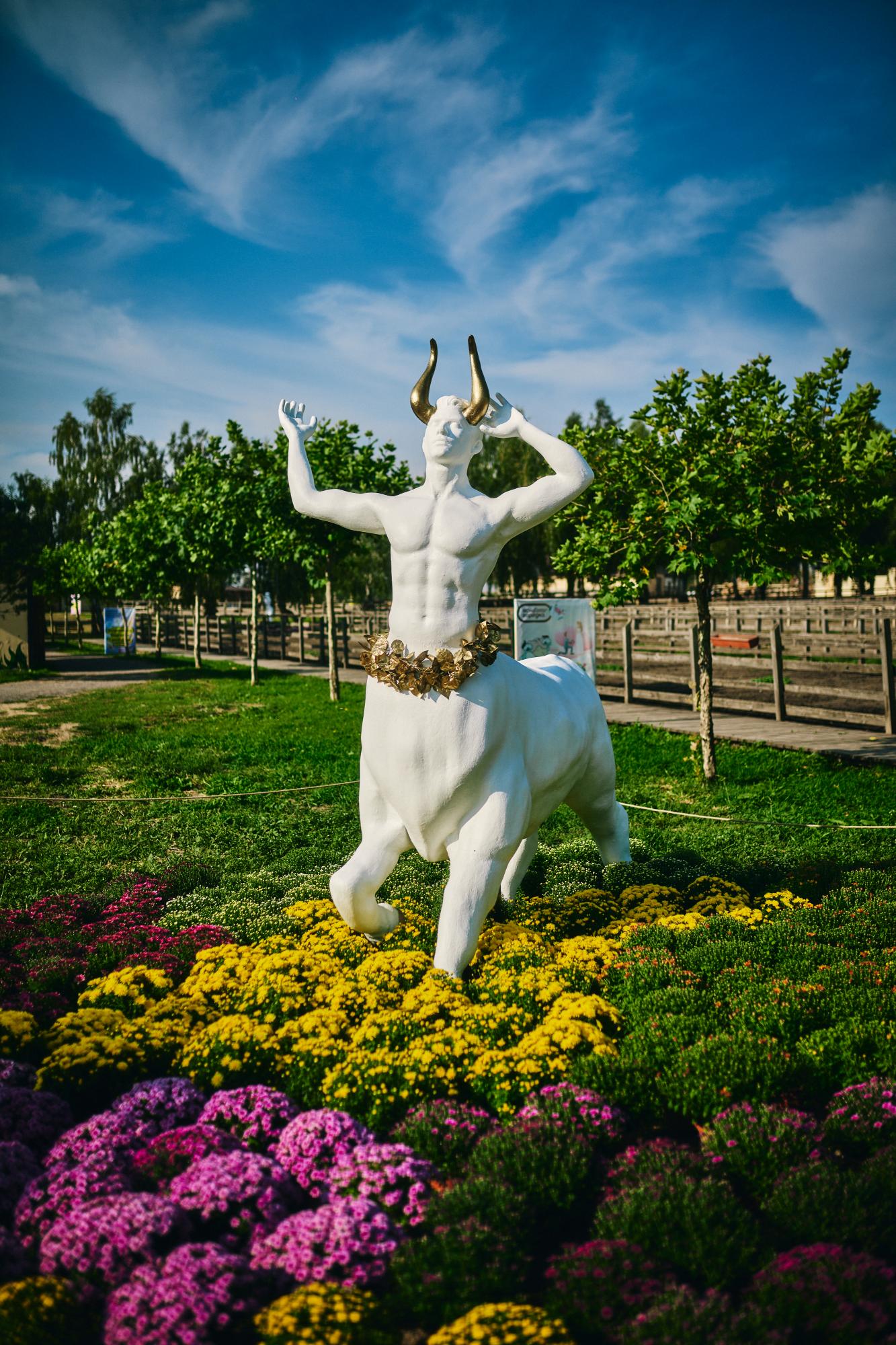 Под Киевом открылась фантастическая выставка цветов: как туда попасть с семьей