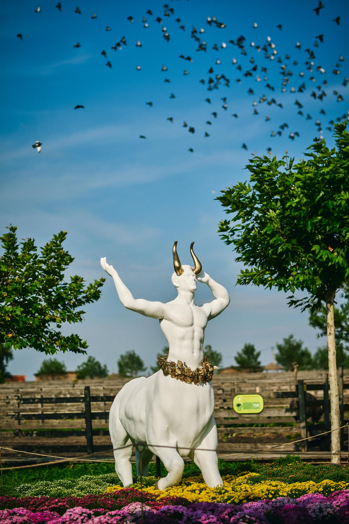 Под Киевом открылась фантастическая выставка цветов: как туда попасть с семьей