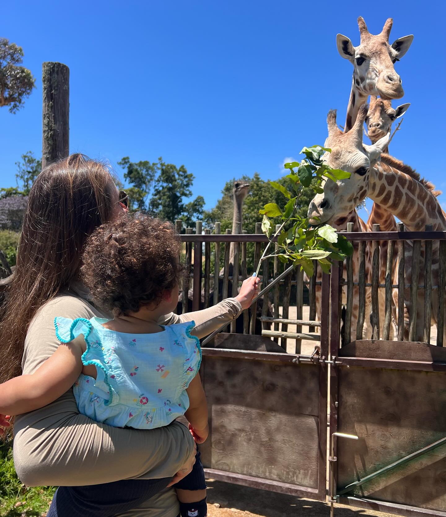 Два года объятия и любви: Свитолина показала редкое фото с дочерью и мужем