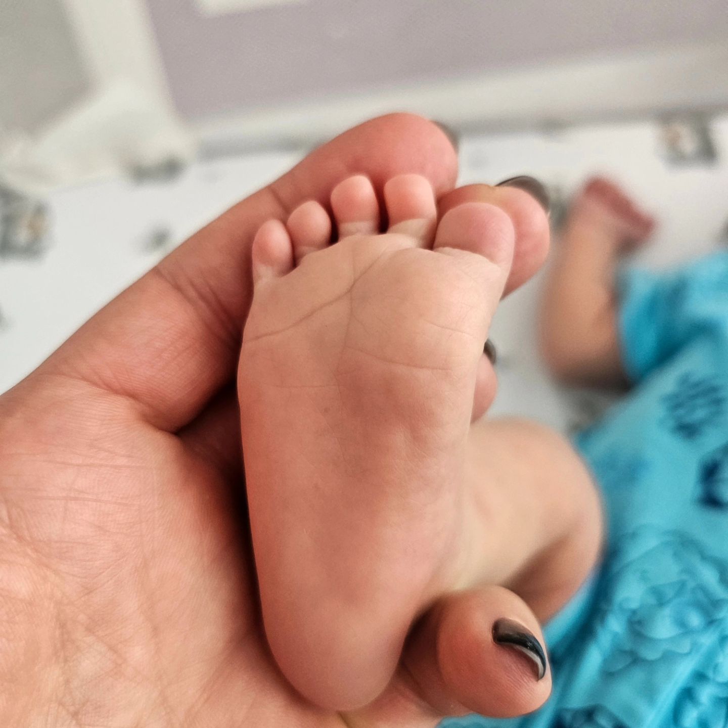 46-летняя блогерша Монро ответила на слухи о рождении сына