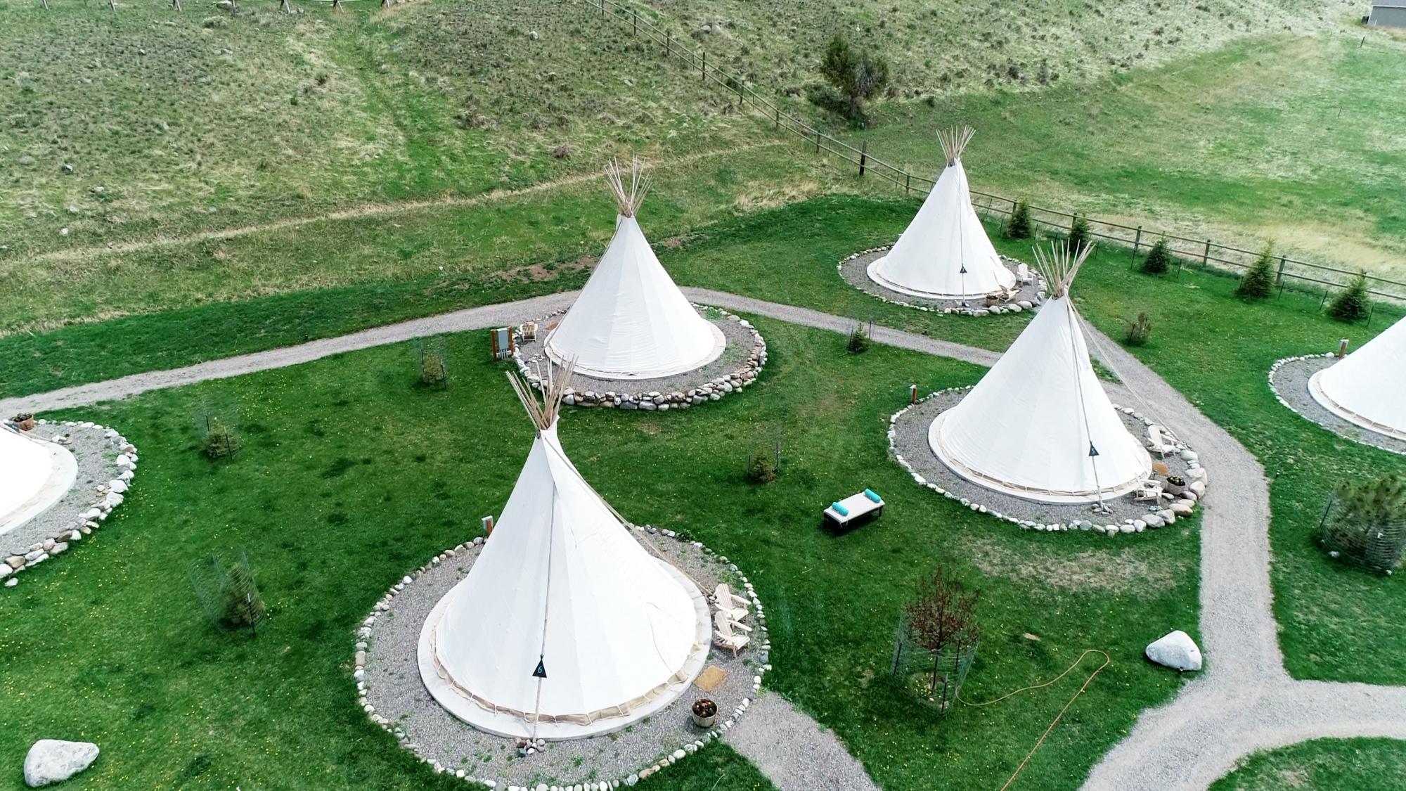 Украинская учительница рассказала, как покорила США: &quot;жила в палатке посреди хищников&quot;