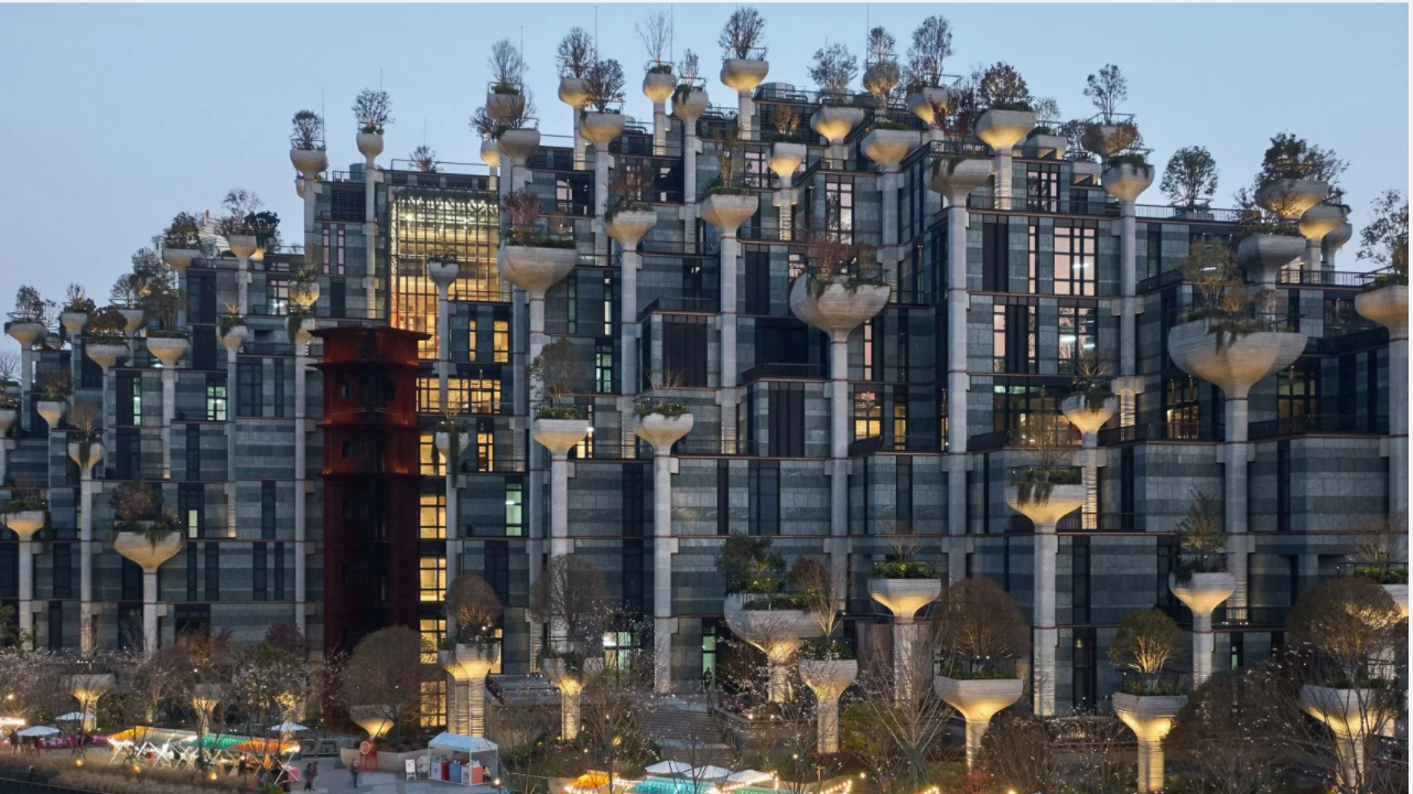 Тысяча колонн с живыми деревьями: современная версия одного из чудес света