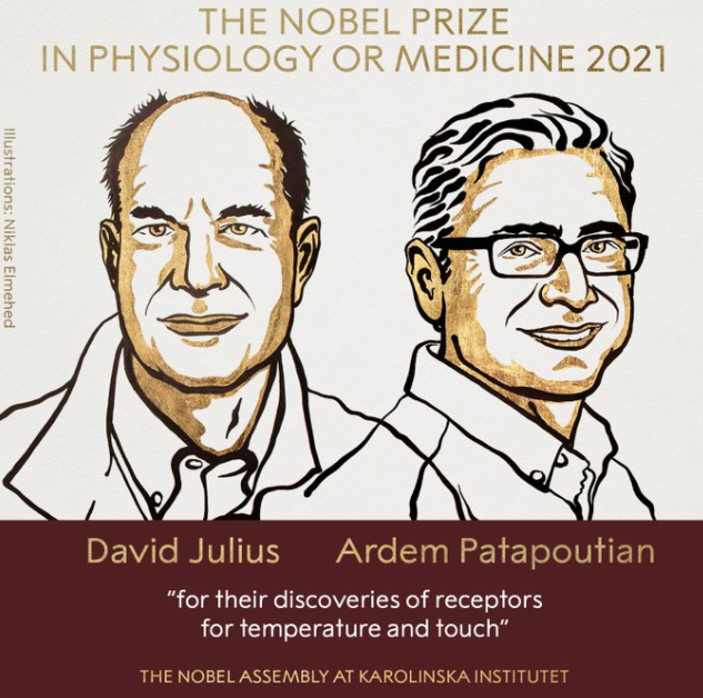 Нобелевская премия 2021 года: список имен всех лауреатов