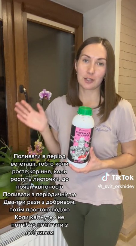 Орхідея завалить вас квітами і буде активно рости: простий секрет догляду