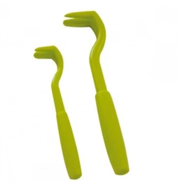 Що робити, якщо собаку вкусив кліщ і скільки коштує лікування